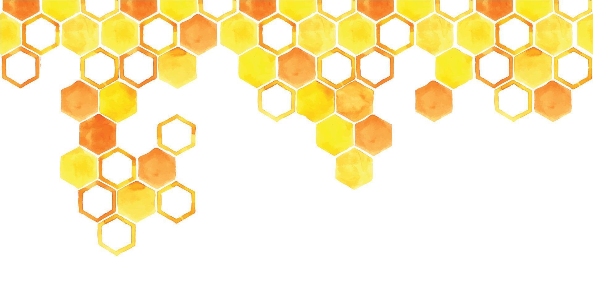 ilustración acuarela, patrones sin fisuras, borde, marco. panal de color amarillo sobre un fondo blanco. banner web imágenes prediseñadas sobre el tema de la miel, las abejas, la apicultura. comida ecologica vector