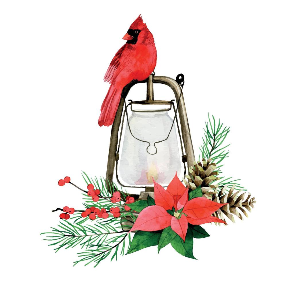 watercolor drawing. christmas composition with winter red cardinal bird, vintage lantern, poinzeta, red berries, fir branches and cones. vector