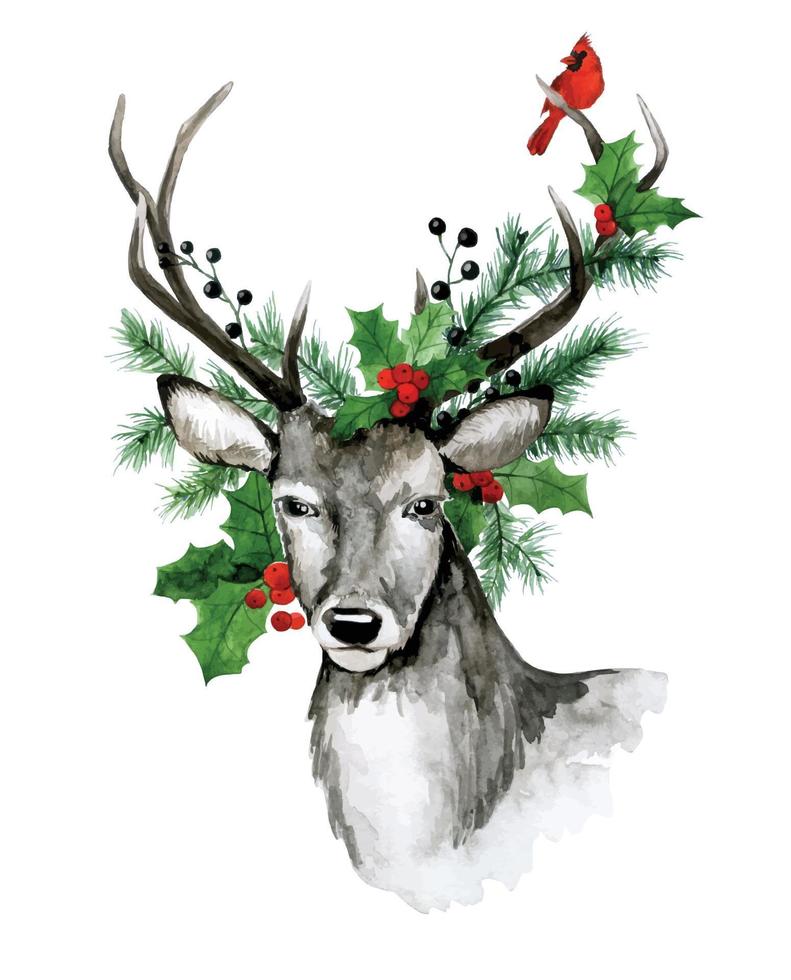 dibujo de acuarela, tarjeta de navidad. ciervo con ramas de abeto y hojas de acebo en las astas. ramos de plantas navideñas y pájaro cardenal rojo. vector