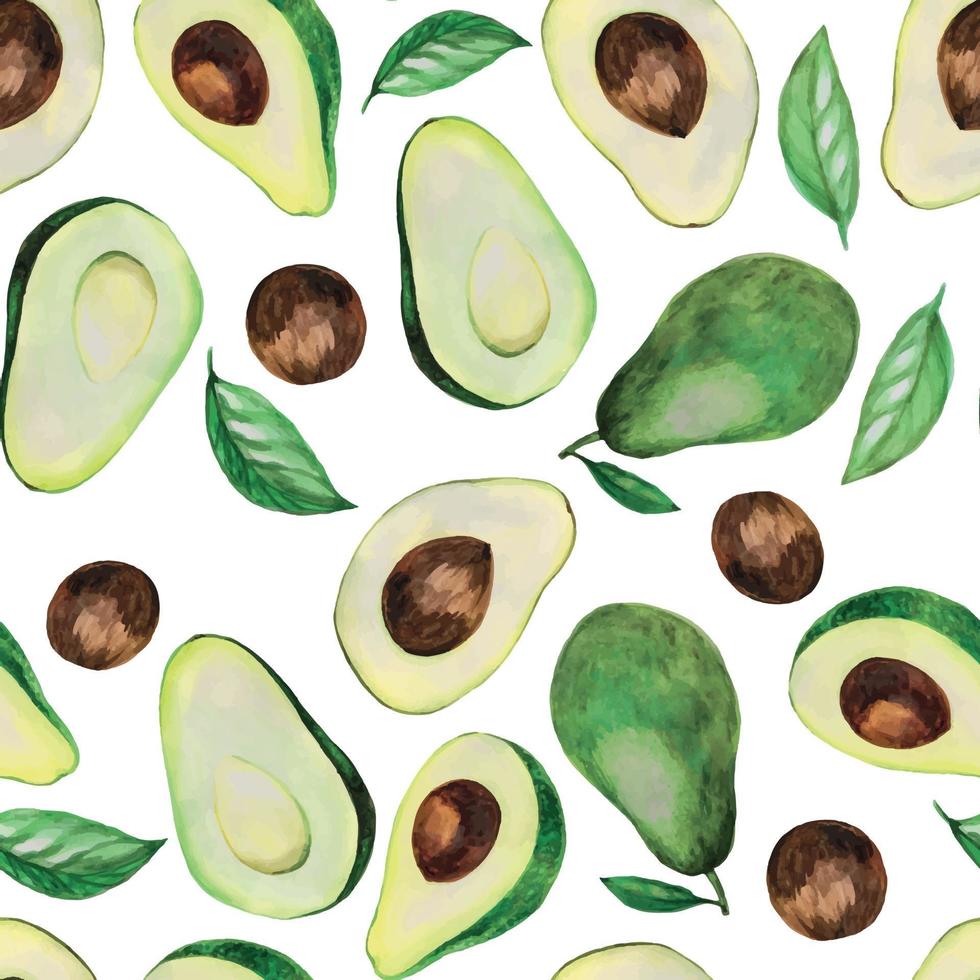 stock illustration seamless pattern. watercolor drawing avocado, avocado leaves isolated on white background. hand drawing cute picture design for fabric, textile, wrapper vector