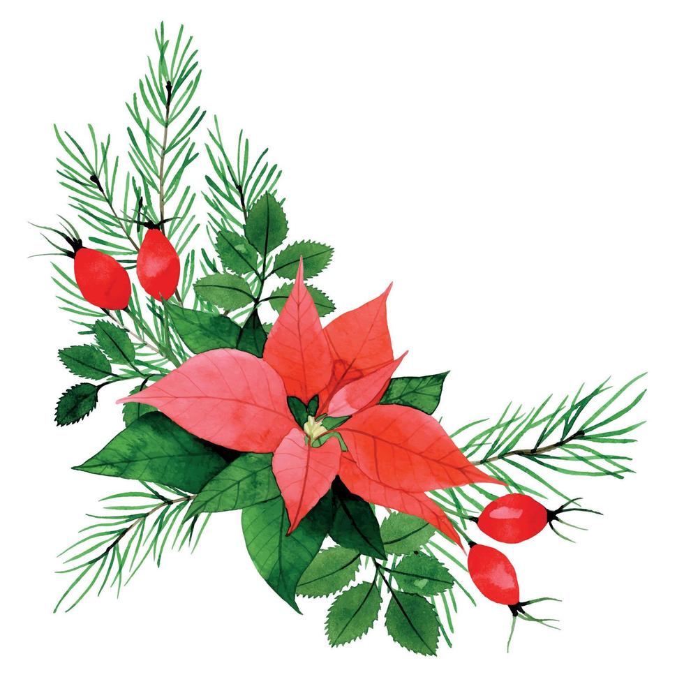 watercolor drawing. christmas composition, bouquet with poinsettia, rosehip leaves and berries, spruce branches. vintage decoration for the new year, christmas. vector