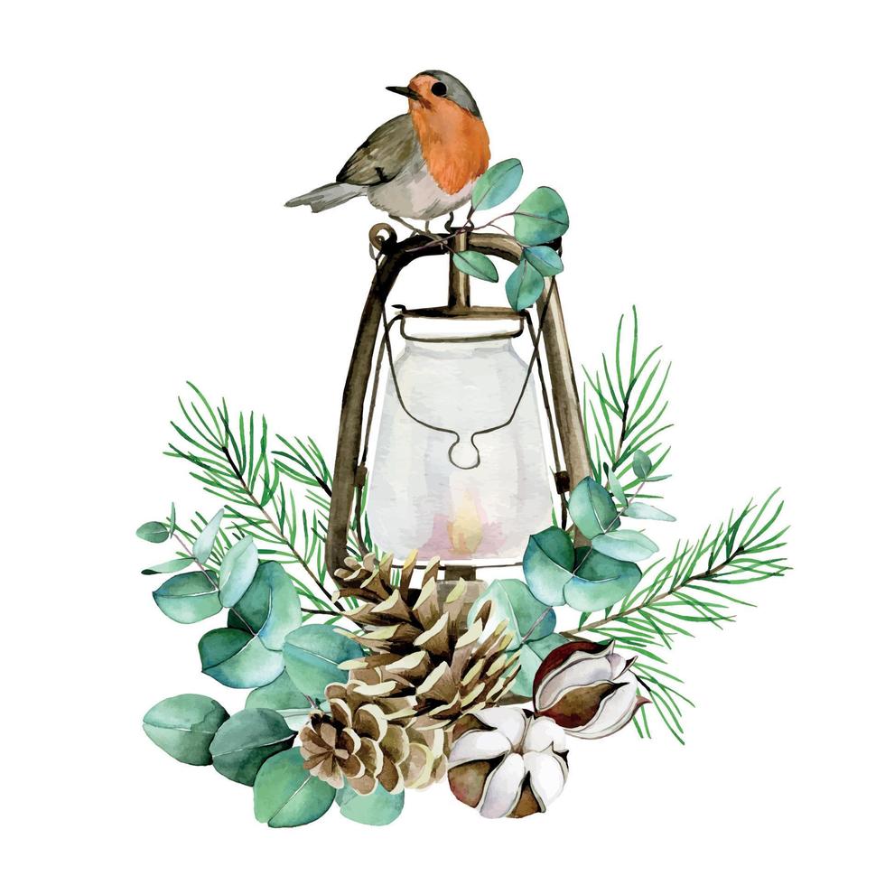 watercolor drawing. christmas composition with winter bird, vintage lantern, cotton flowers, eucalyptus leaves, fir branches and cones. vector