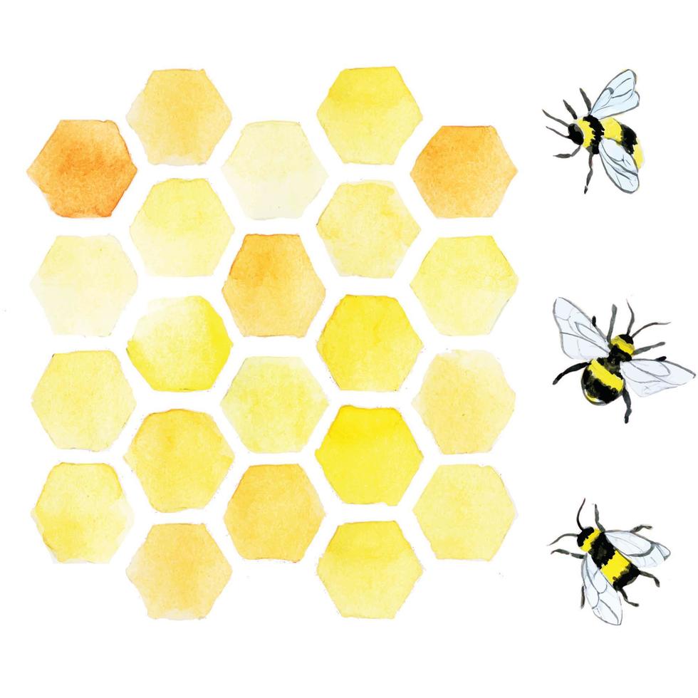 Acuarela de patrones sin fisuras con abejas y panal. lindo fondo con panales amarillos y abejas, dibujo a mano. símbolo agrícola, miel, productos saludables ecológicos vector