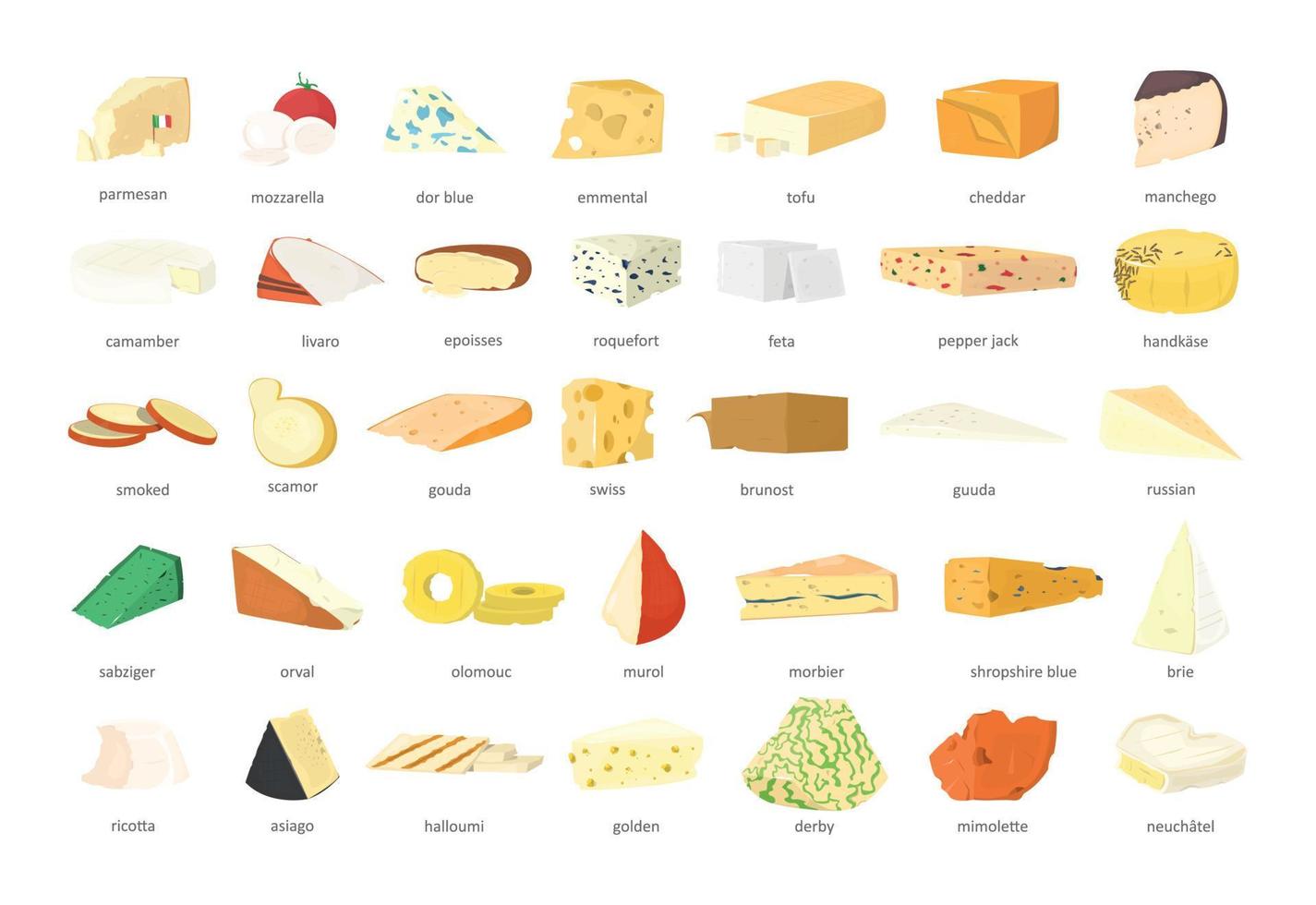 Set of Realistic Cheese with Titles vector