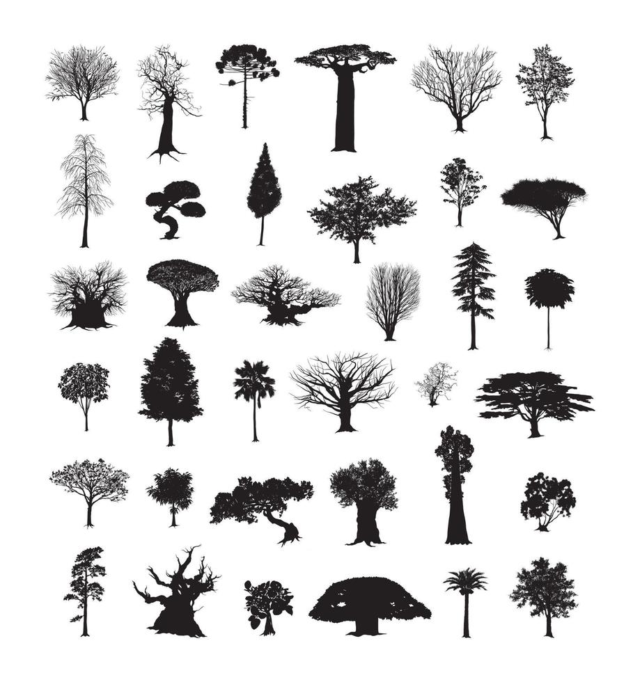 arboles colección negra vector