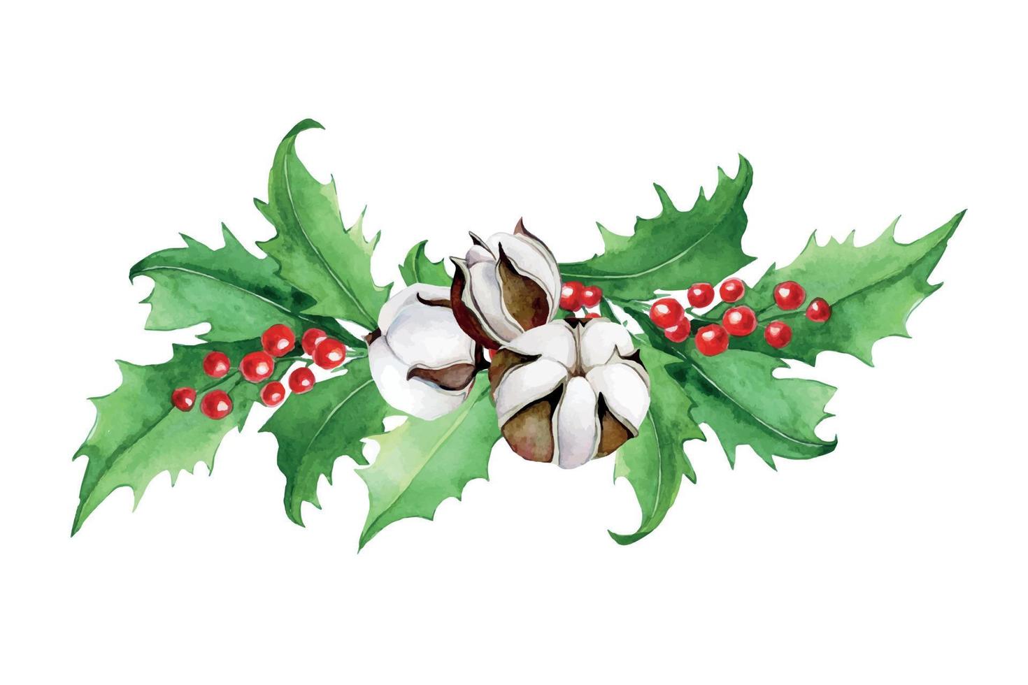 watercolor drawing Christmas composition, bouquet of holly leaves and berries and cotton flowers. clip art, decoration for new year, christmas vector