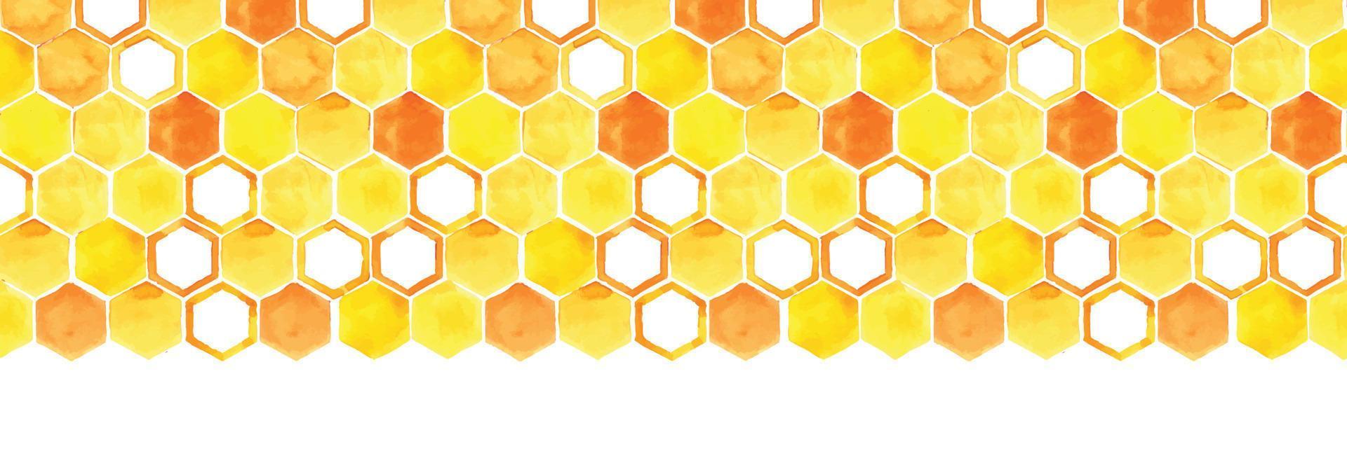 borde de acuarela transparente con panal. panal amarillo y naranja con miel sobre un fondo blanco. patrón sin costuras, banner web. ilustración sobre el tema de la miel, la apicultura, la agricultura, eco foo vector