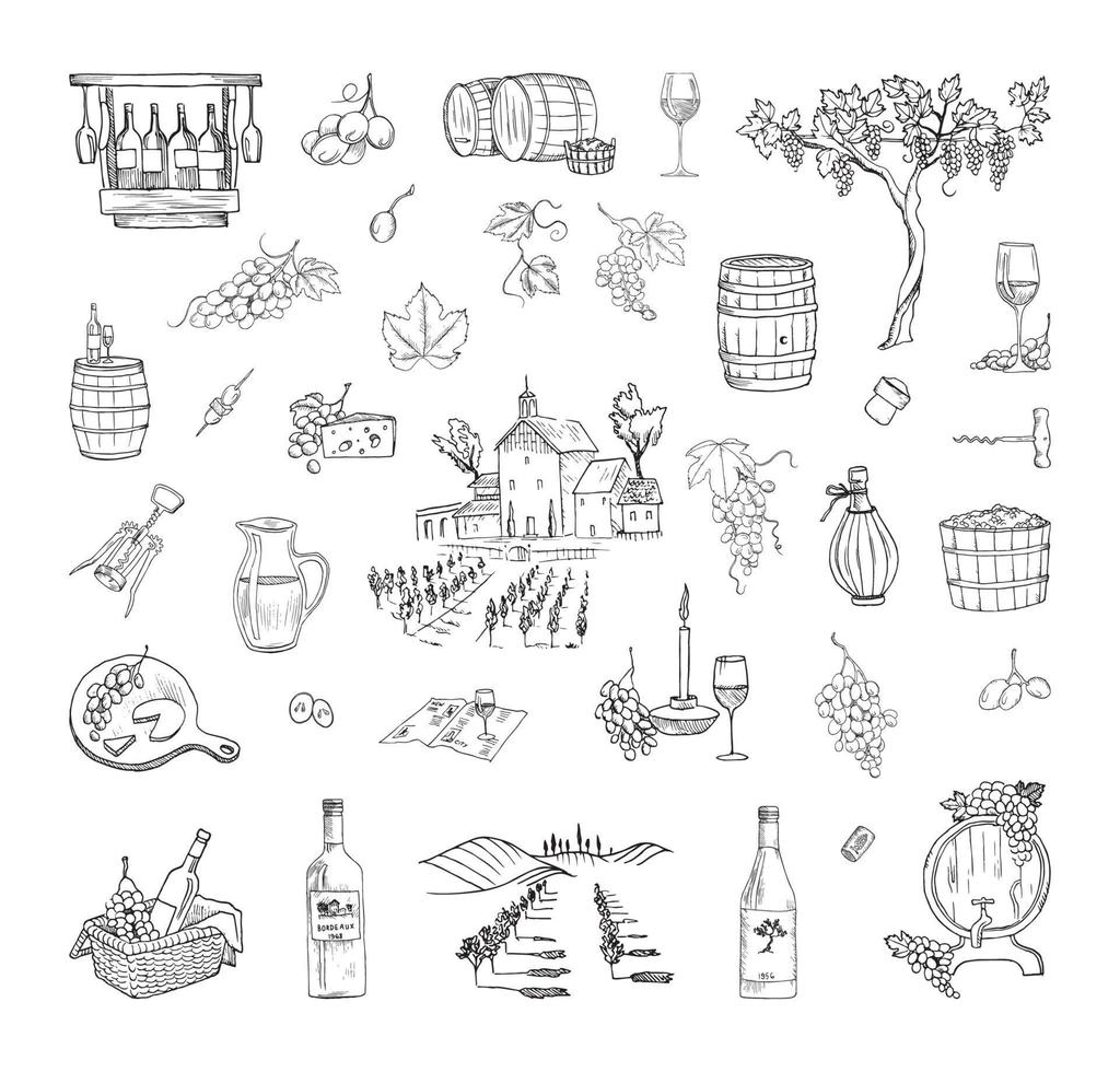 Wine Production Illustrations in Art Ink Style vector