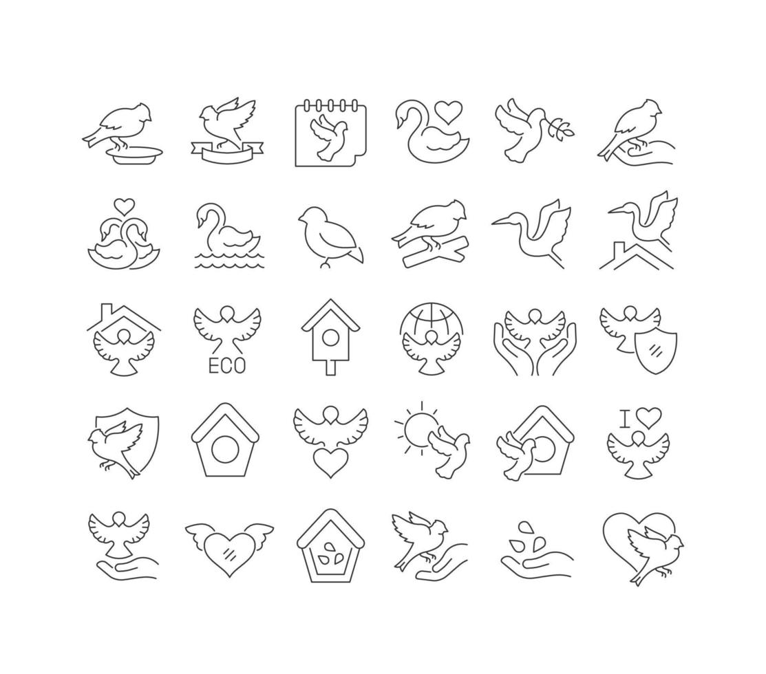 iconos de línea vectorial del día de las aves vector