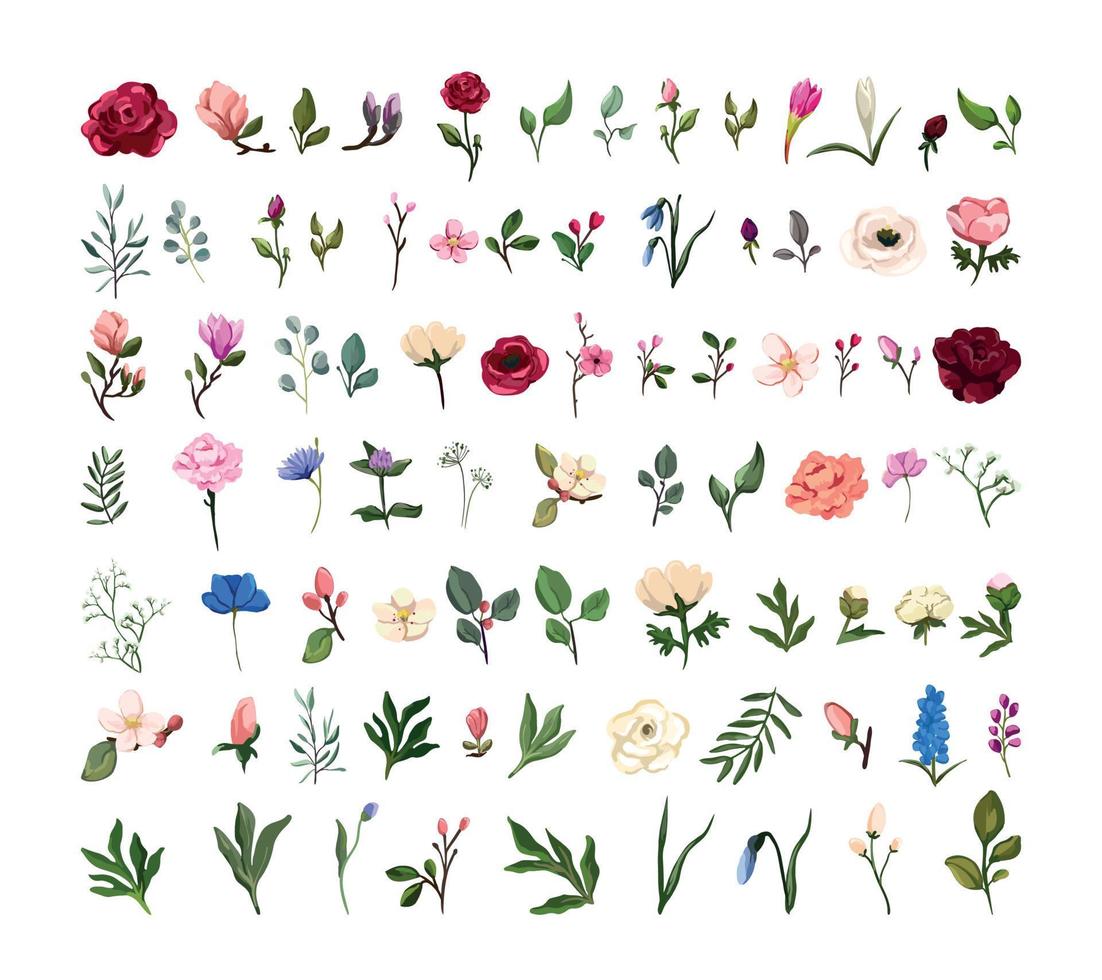 Collection of Flowers vector