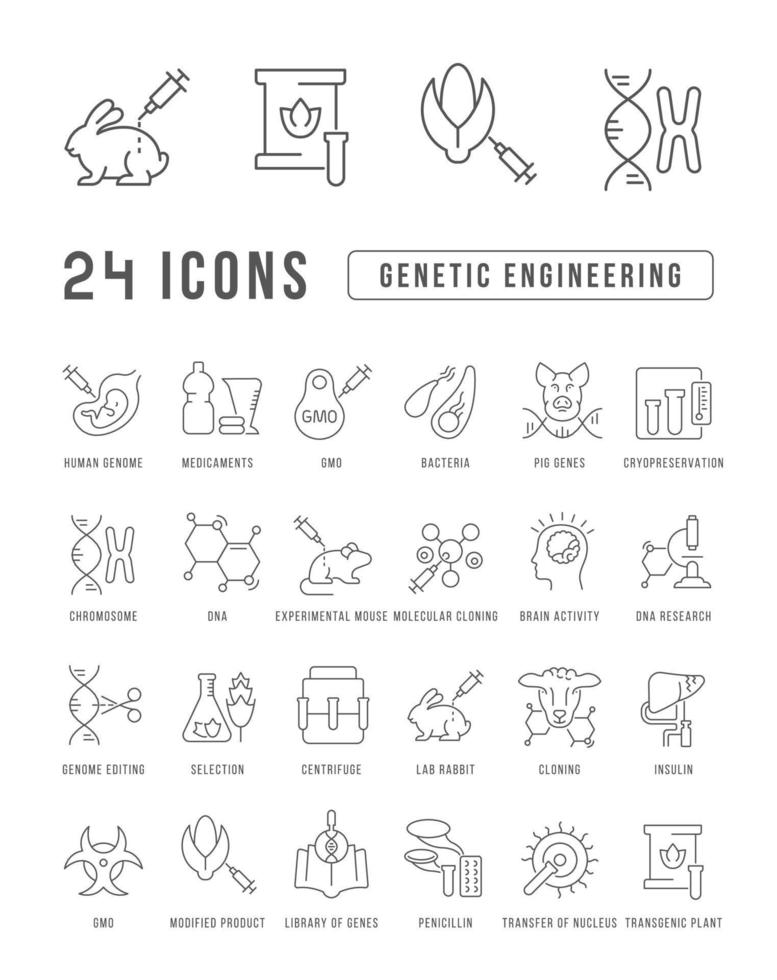 Set of linear icons of Genetic Engineering vector