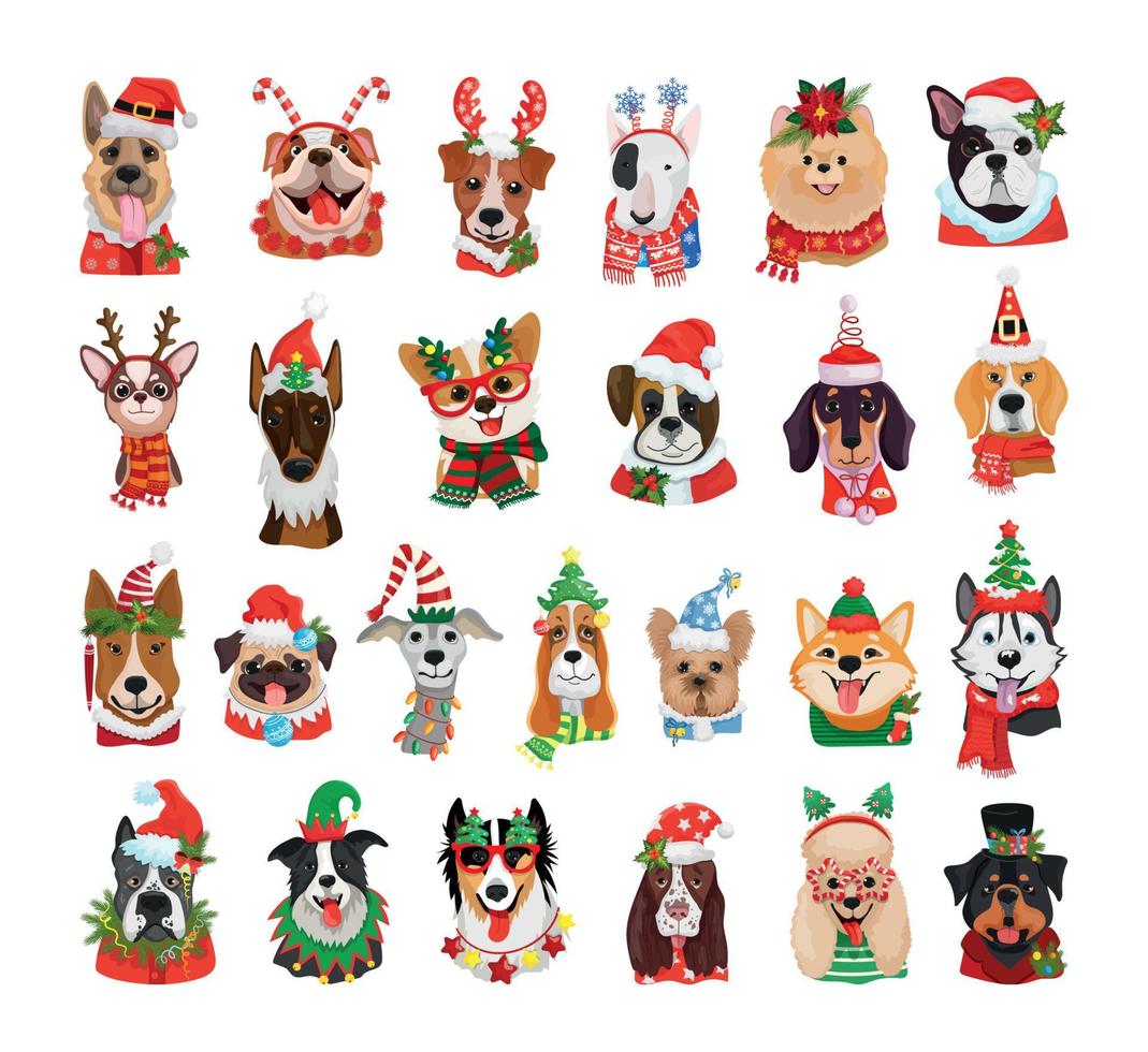 Collection of Dogs In Christmas Costumes vector