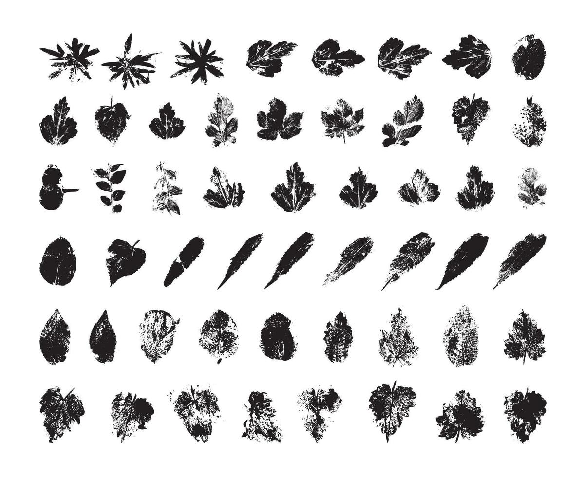 Set of Texture Leaves vector