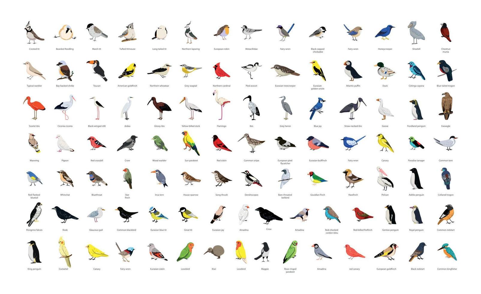 colección de aves silvestres y domésticas vector