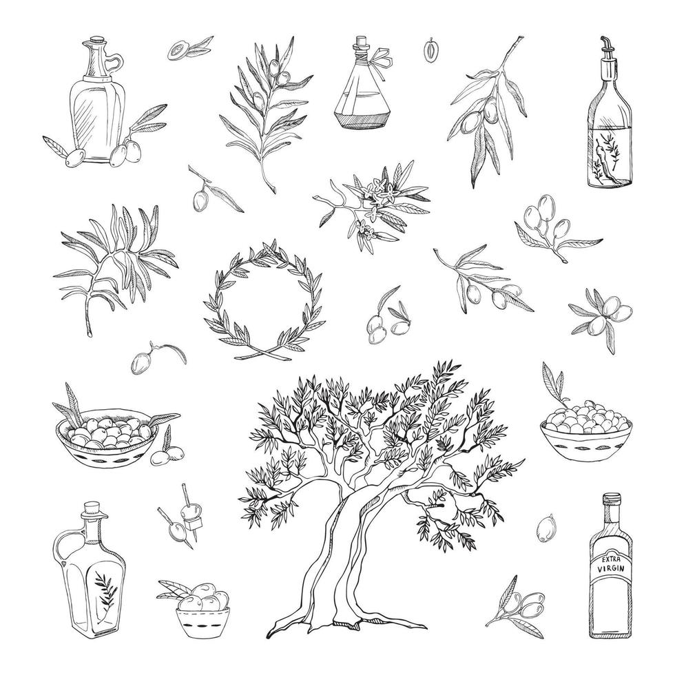 Olives Illustrations in Art Ink Style vector