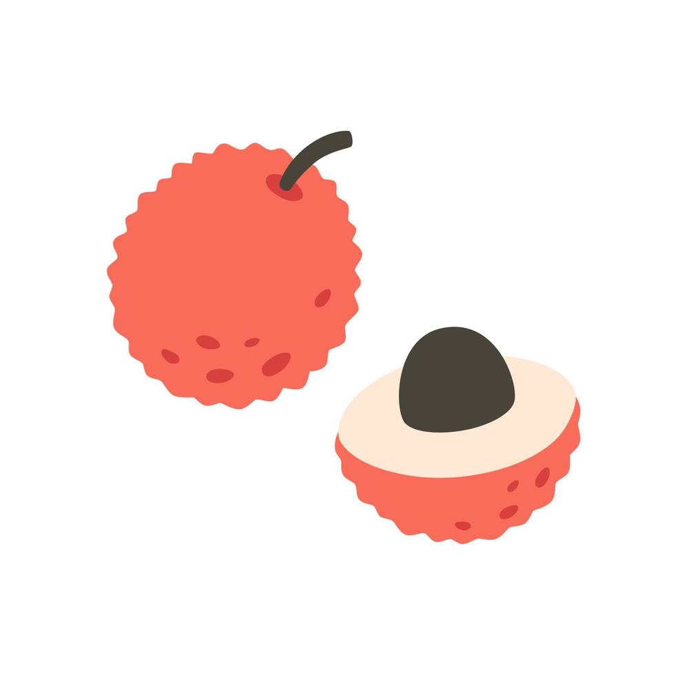 Fresh lychee. Exotic and tropical fruit. Health food vector