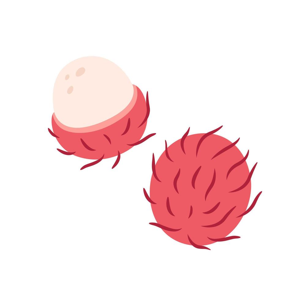 Fresh rambutan. Exotic and tropical fruit. Healthy food. vector