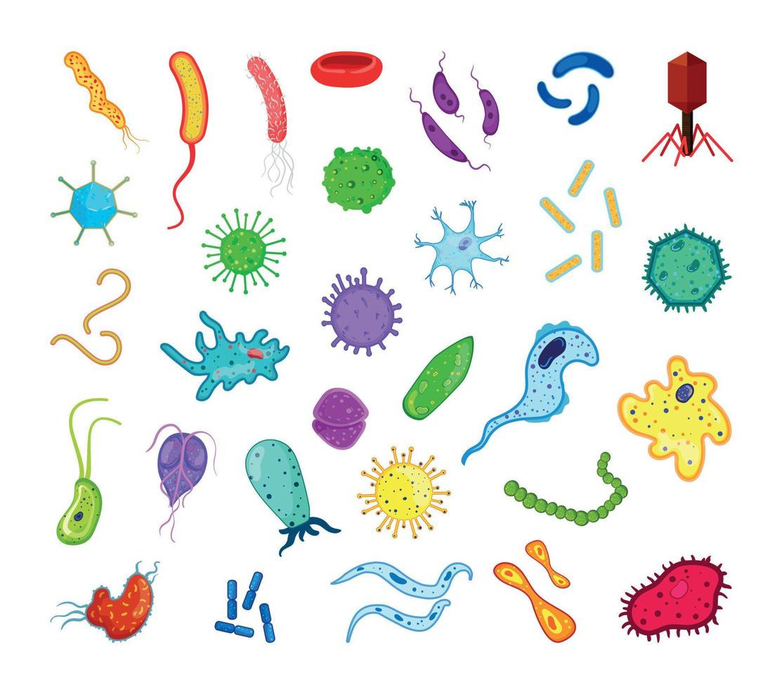 Set of Bacteria vector