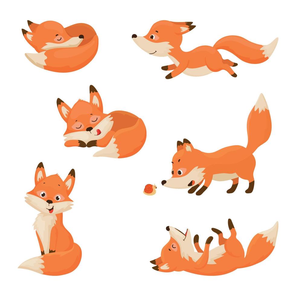 Set of Illustrations with Fox Character vector