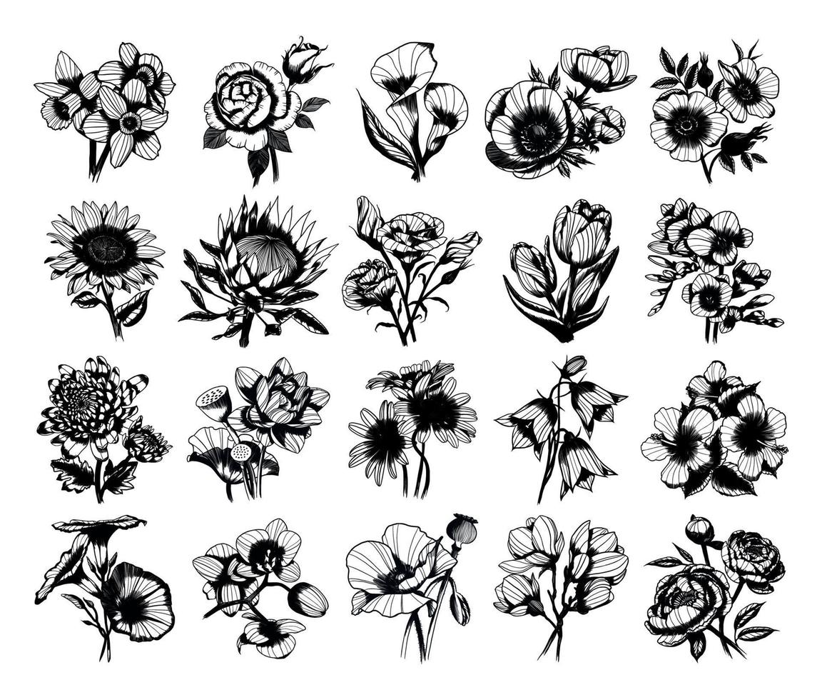 Flower Buds Illustrations in Art Ink Style vector