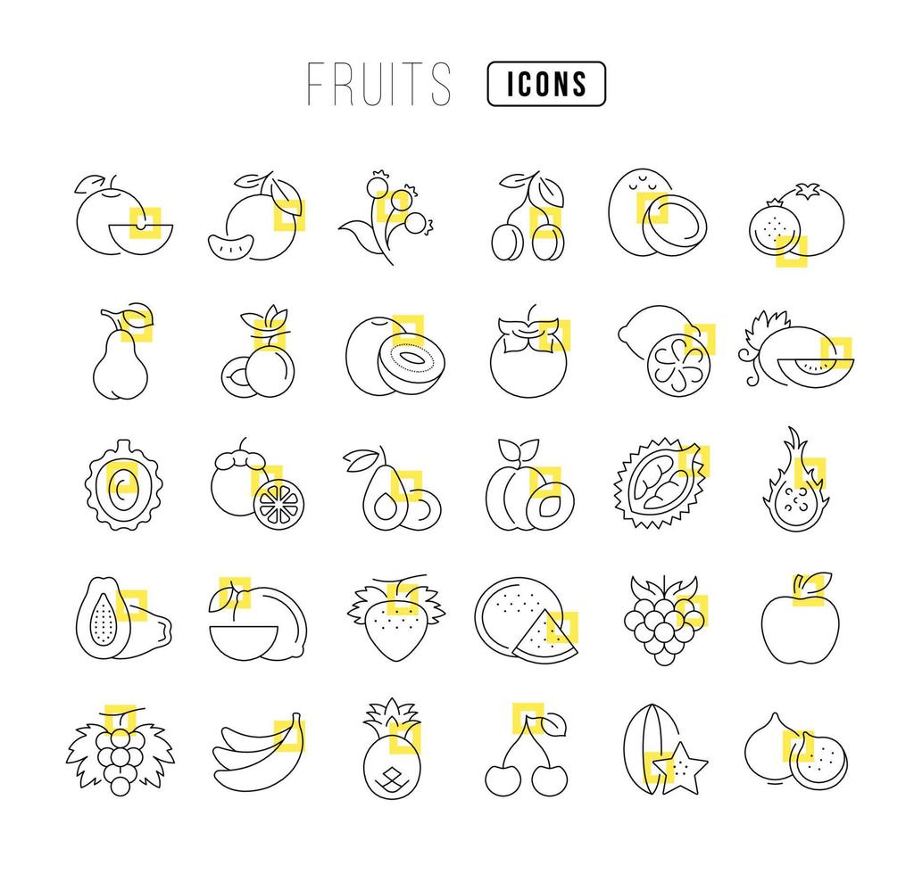 Set of linear icons of Fruits vector