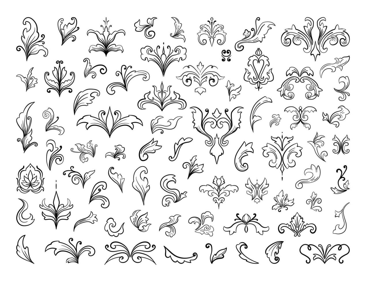 patrones de plantas decorativas vector