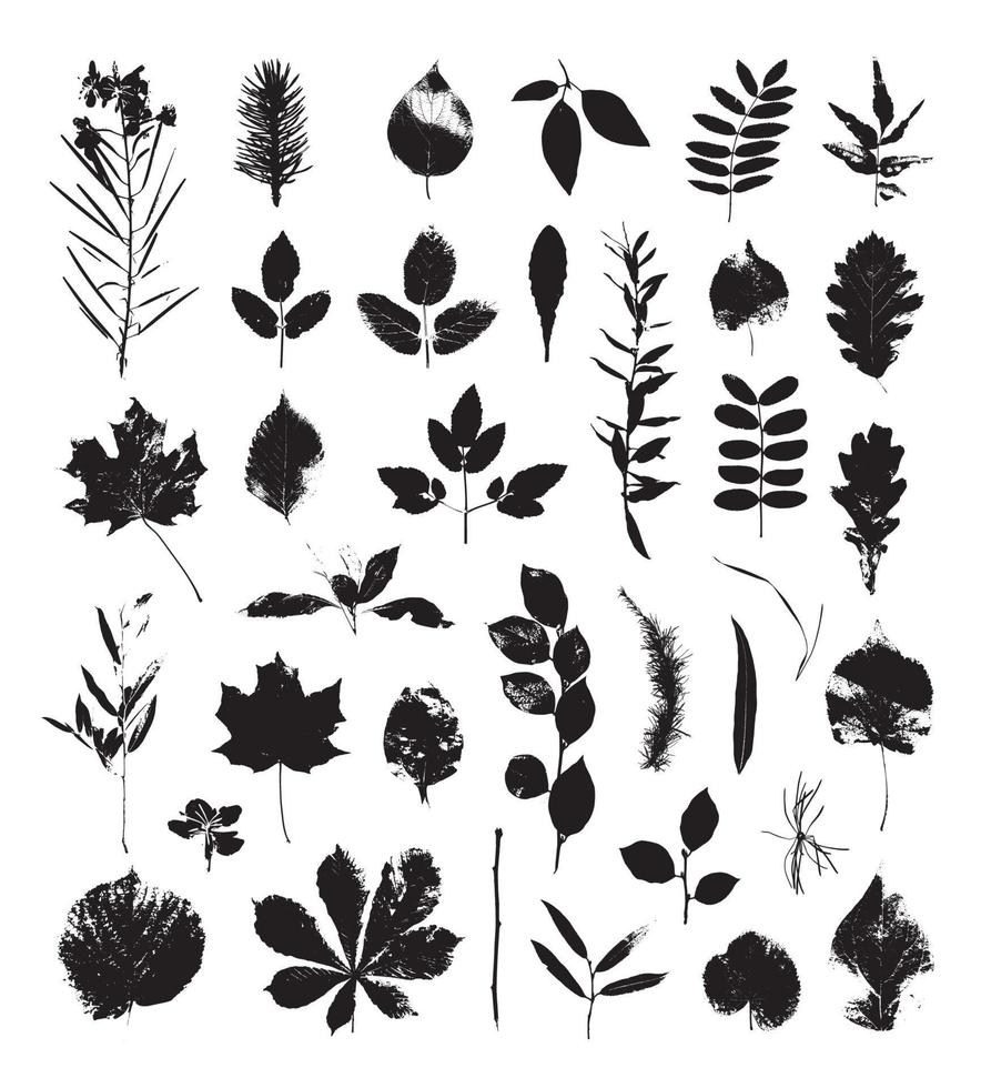 Set of Leaves vector
