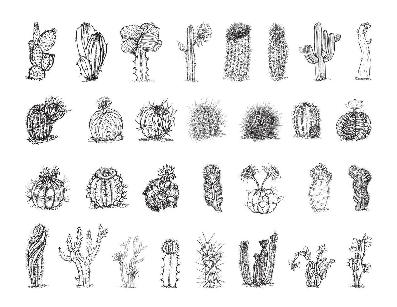 Cactuses Illustrations in Art Ink Style vector