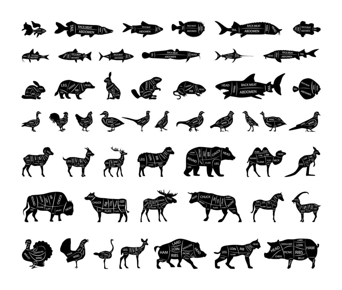 Set of Animals with Cutting Lines vector