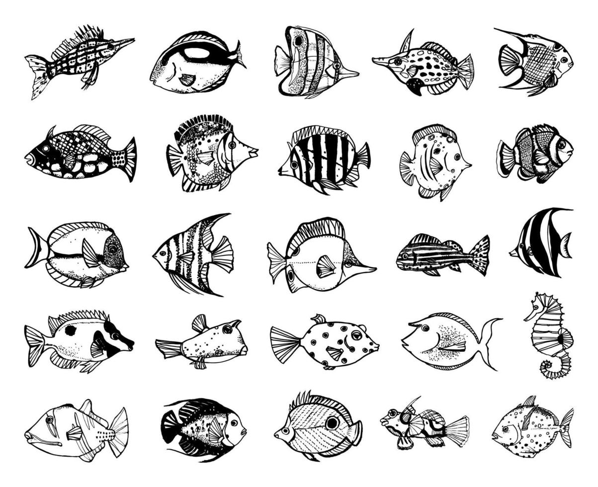 ilustraciones de peces en estilo art ink vector