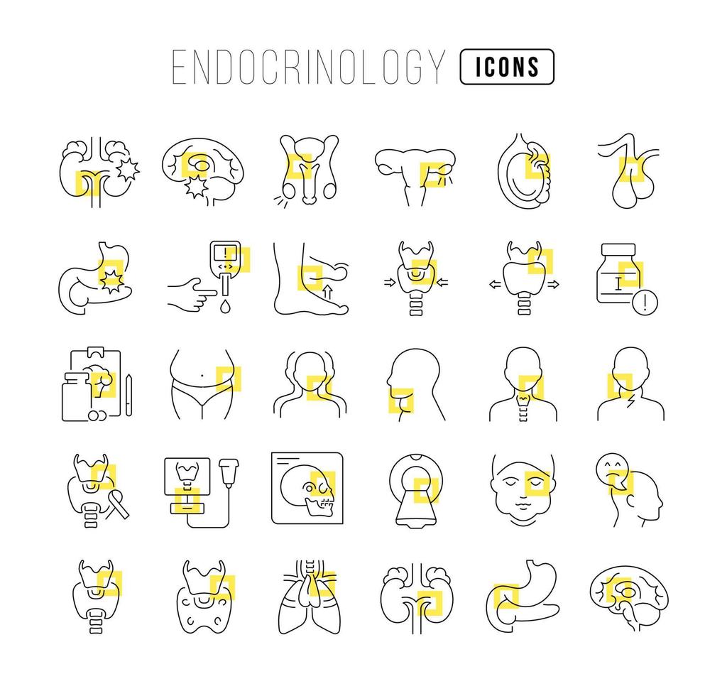 conjunto de iconos lineales de endocrinología vector