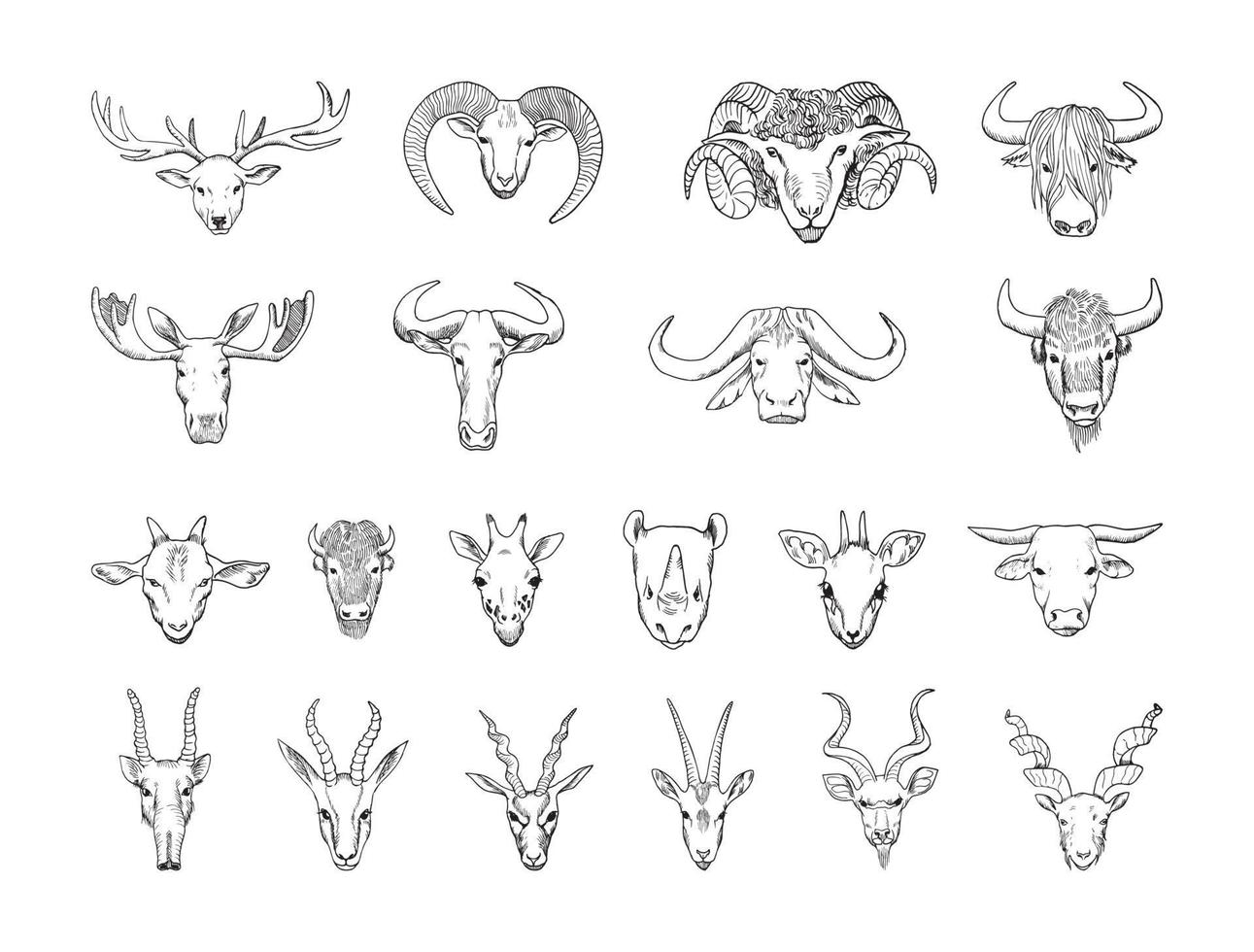 cabezas de animales con ilustraciones de cuernos en estilo de tinta de arte vector