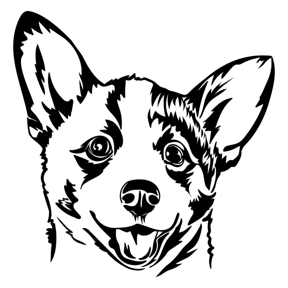 Drawing of Corgi dog portrait vector