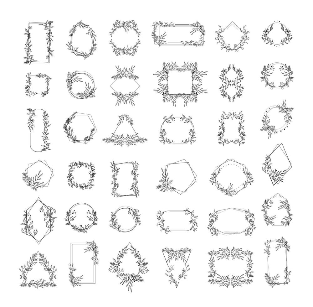 Floral Frames Collection vector