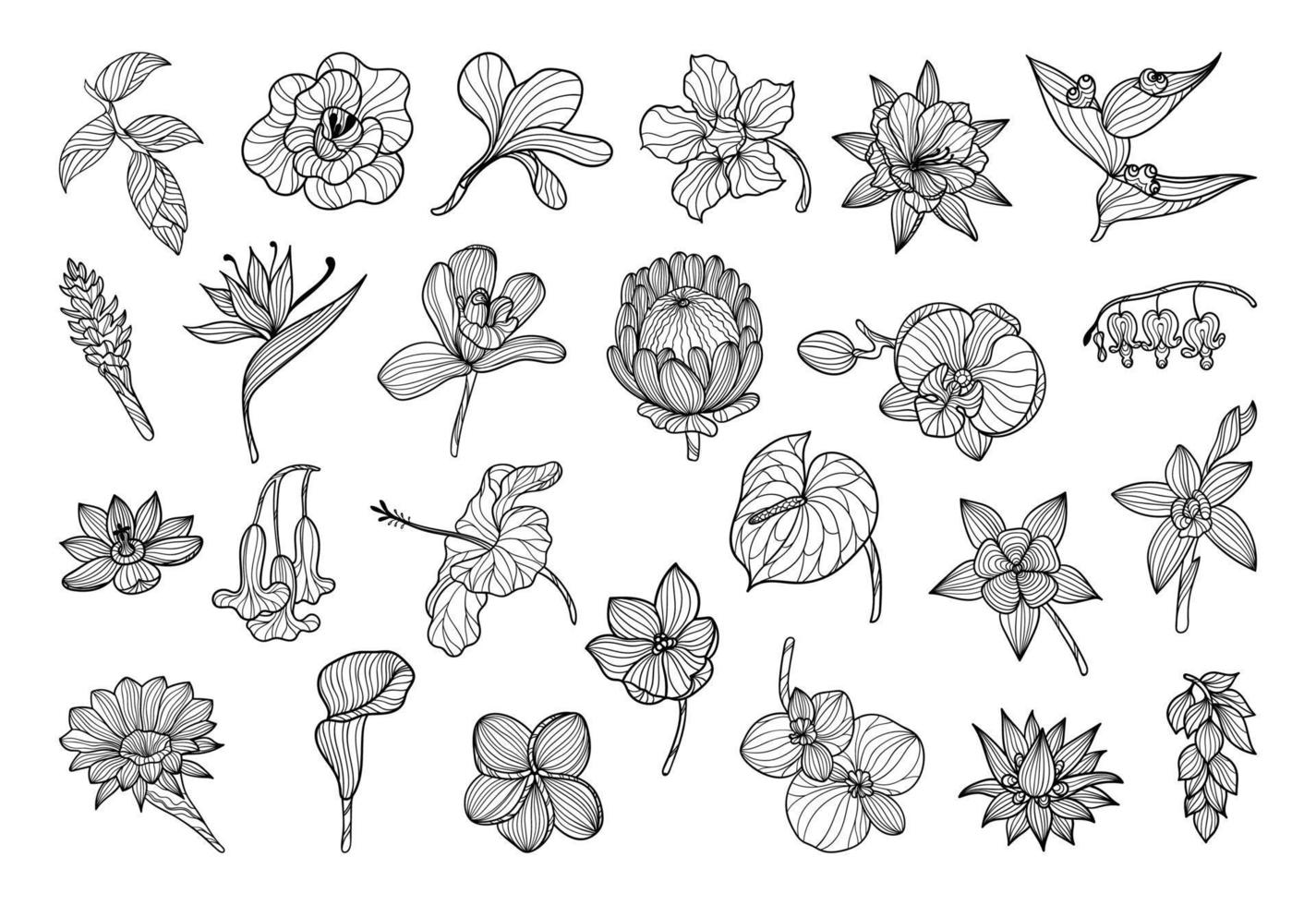 Exotic Flowers in a Linear Style vector