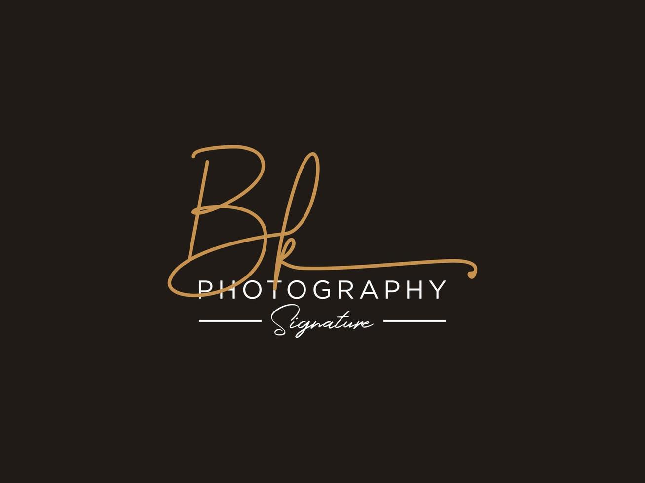 Letter BK Signature Logo Template Vector