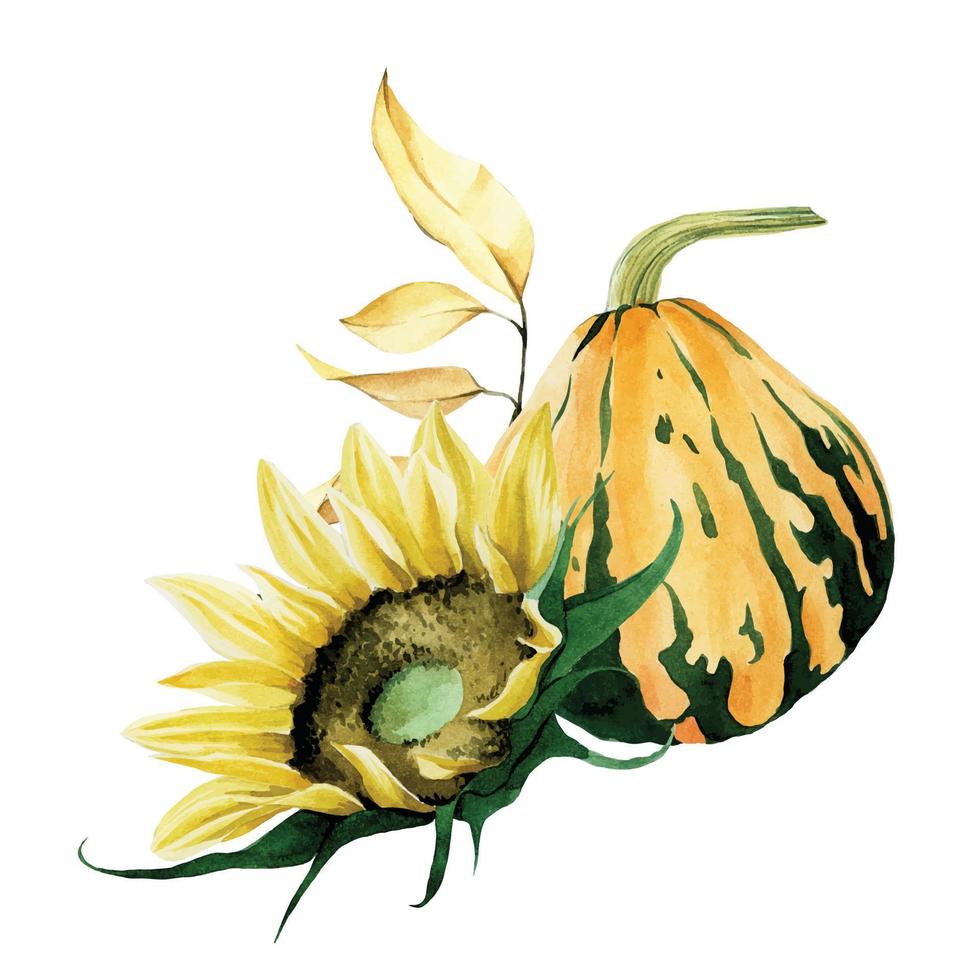 dibujo de acuarela al estilo del realismo. ramo, composición de flores de otoño y calabazas. calabaza naranja y flores de girasol, hojas de otoño. símbolo de cosecha, día de acción de gracias. vector