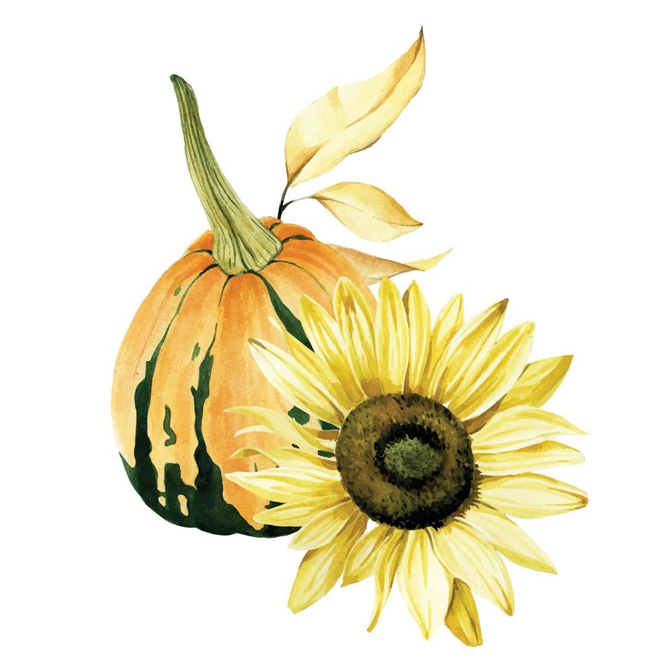 watercolor drawing in the style of realism. bouquet, composition of autumn flowers and pumpkins. orange pumpkin and sunflower flowers, autumn leaves. harvest symbol, thanksgiving day. vector