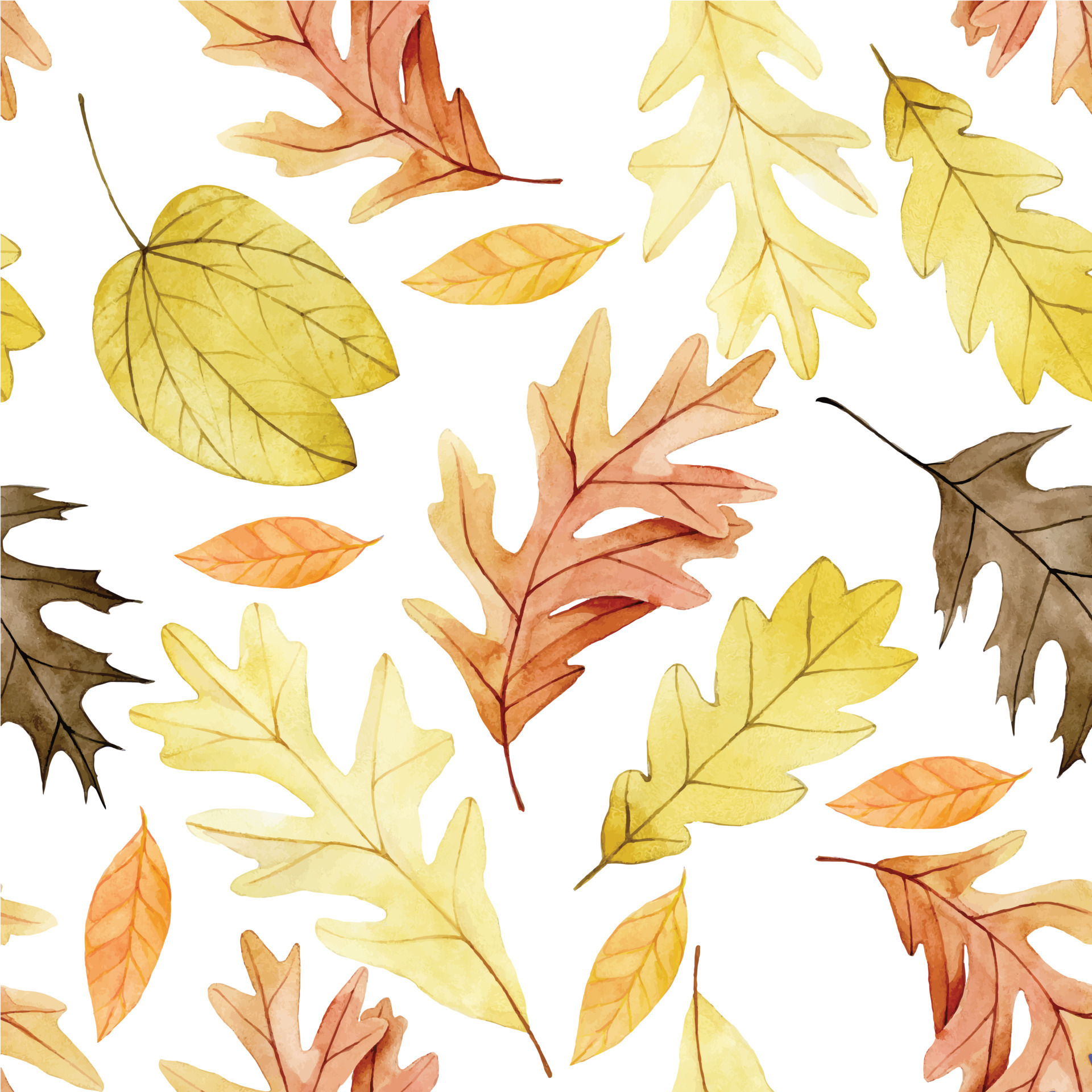 Colorful drawing of decorative maple leaf. Traditional autumn season  symbol. Cute shape, bright warm colour. Handdrawn watercolour paint on  white backdrop, cutout clipart for design and decoration. Illustration  Stock