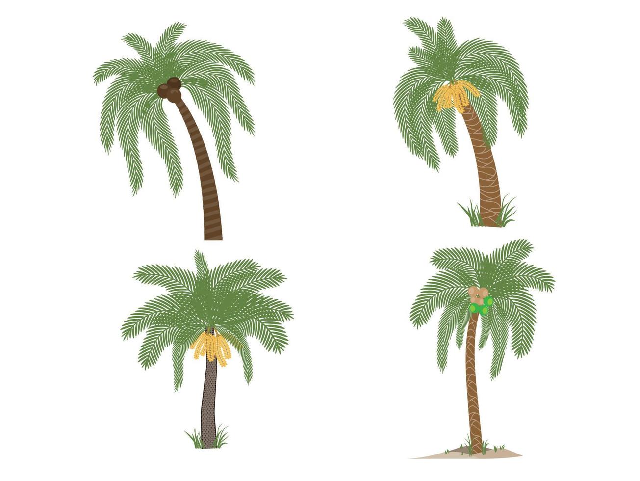 Design element of palm trees,Palm fruit tree icon.  for web design isolated on white background Vector illustration.