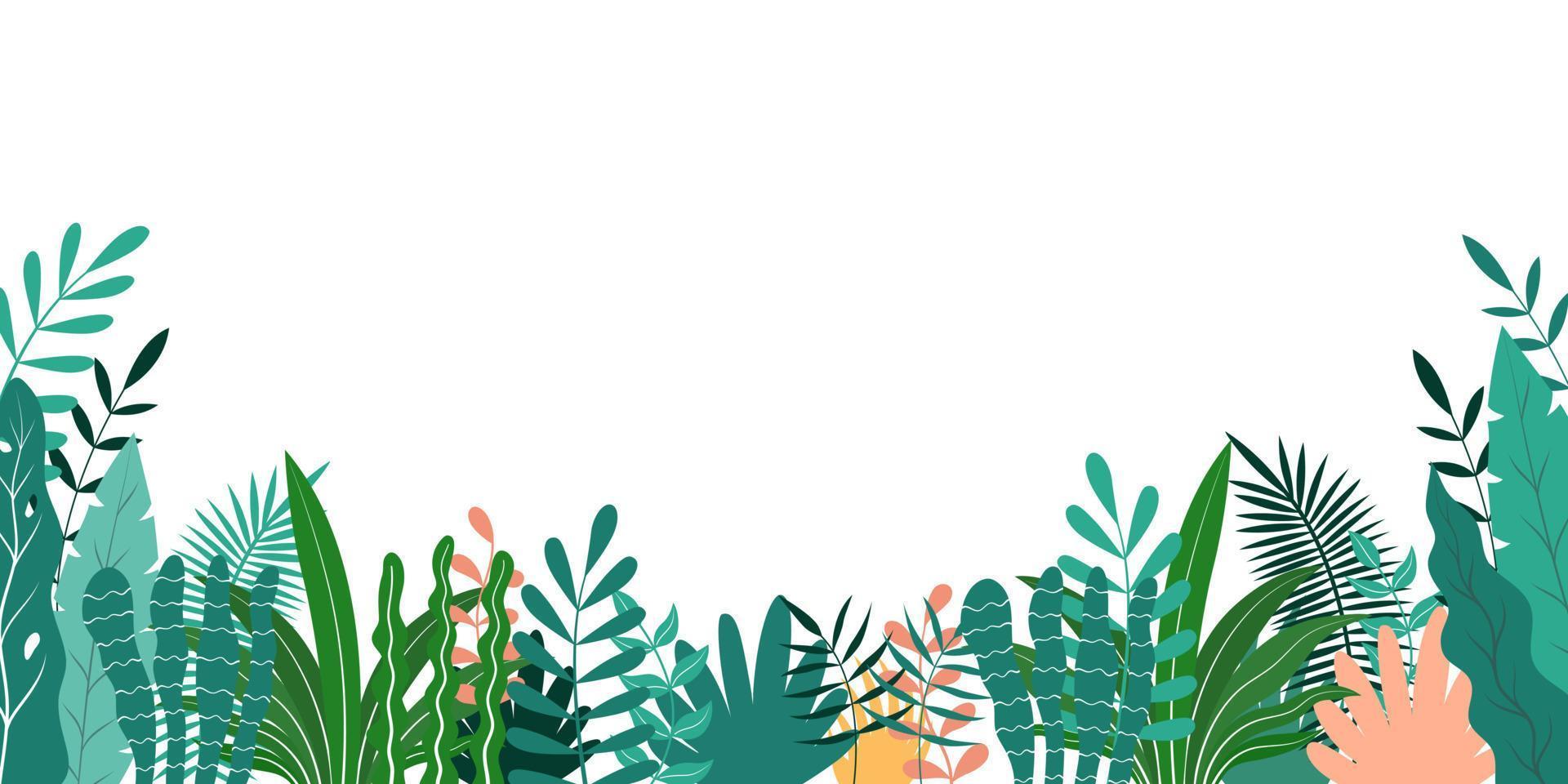 Banner plant and leave space for text on white background vector