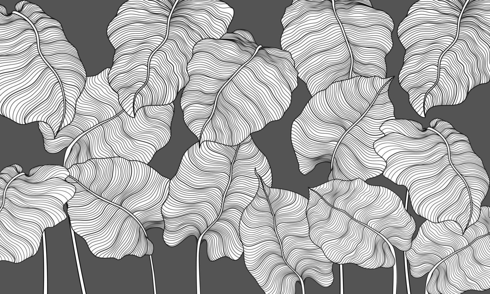 Drawing Philodendron plant line arts vector