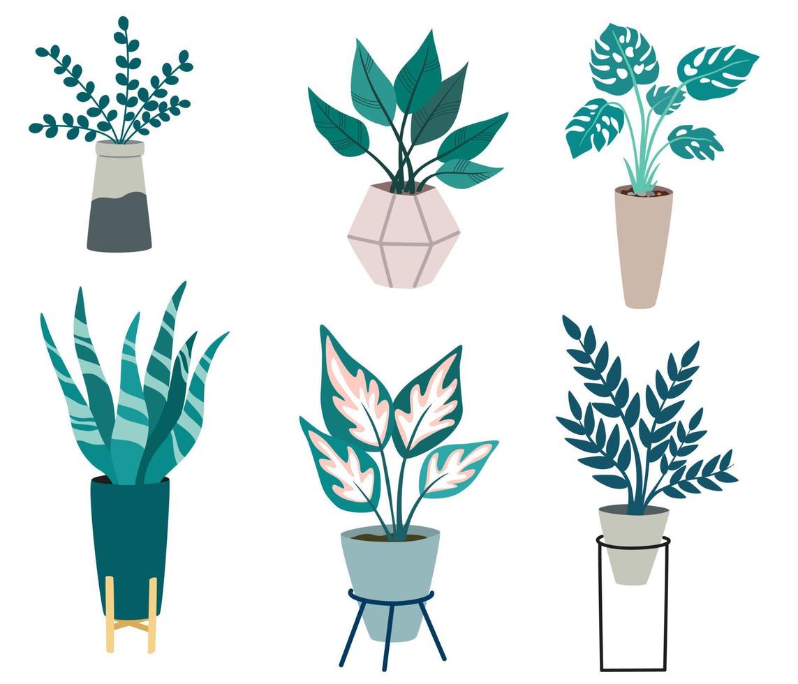 conjunto de plantas de interior en maceta. planta de interior de follaje que crece en maceta. decoración de hojas verdes para el interior del hogar. decoración interior natural. dibujar a mano ilustración vectorial aislado sobre fondo blanco vector