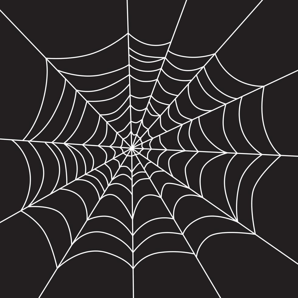 Scary white web on a black background. vector