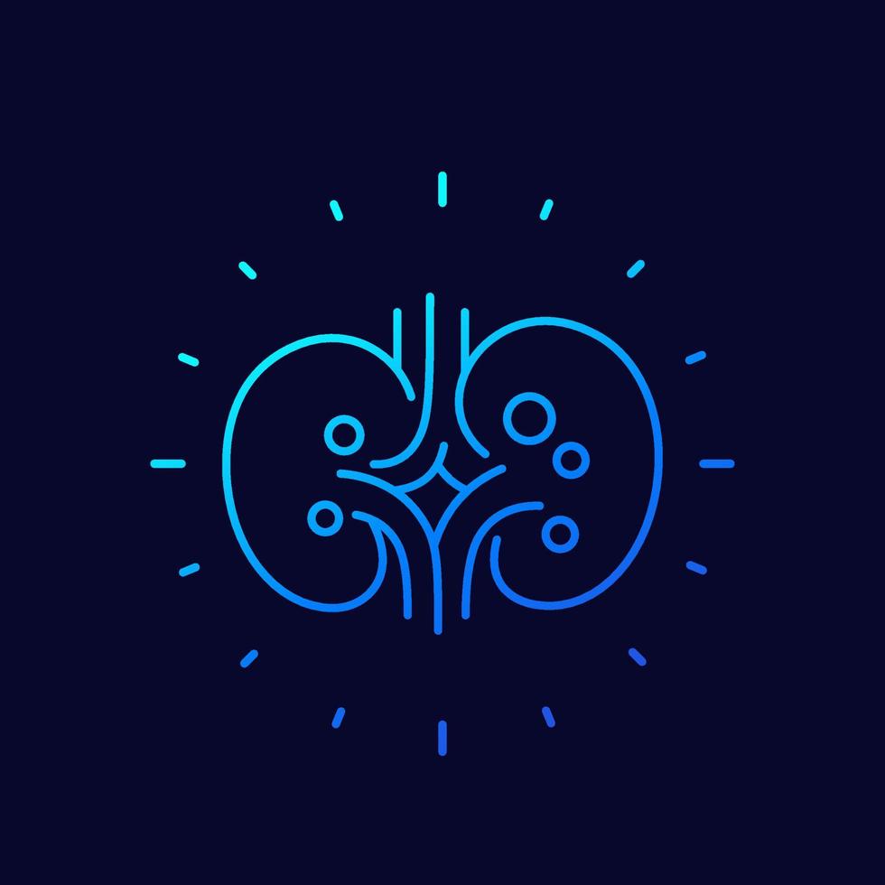 kidney stones, renal pain line icon vector