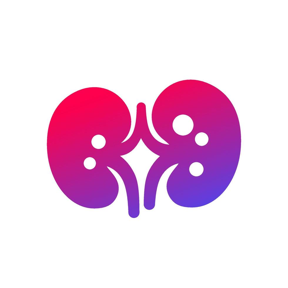 kidney stones and renal pain icon vector