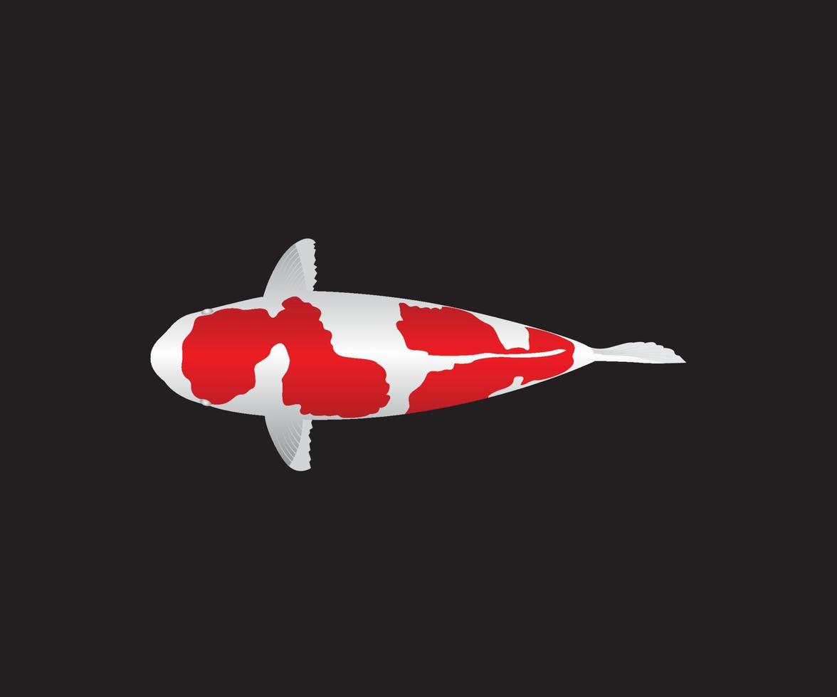 Koifish color red and wi vector