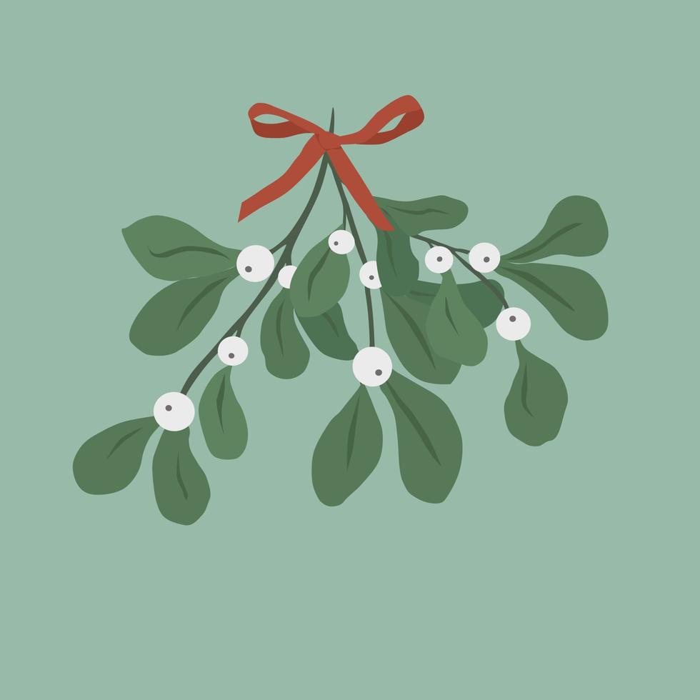 bouquet of mistletoe with leaves and berries, tied with a bow vector