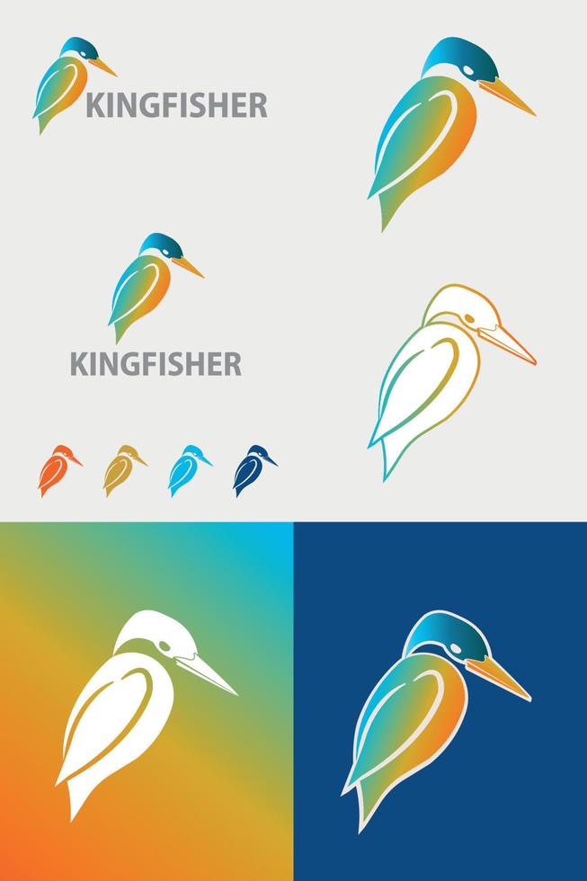 diseño de logotipo de martín pescador vector