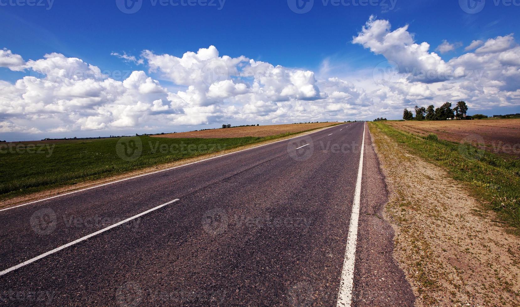 the road and forest photo